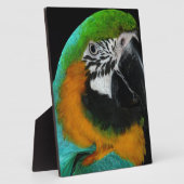 オウム フォトプラーク (側面)