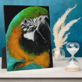 オウム フォトプラーク (側面)