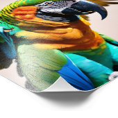 オウム フォトプリント            (角)