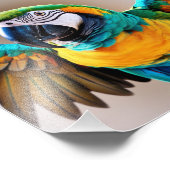 オウム フォトプリント            (角)