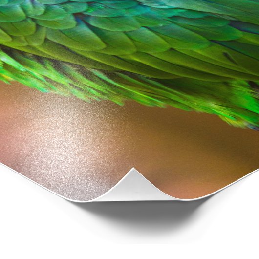 オウム フォトプリント            (角)