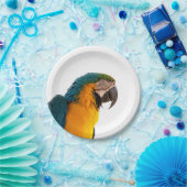 オウム ペーパープレート (パーティー)