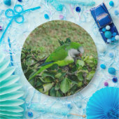 オウム ペーパープレート (パーティー)