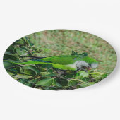 オウム ペーパープレート (アングル)