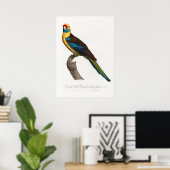 オウム ポスター (ホームオフィス)