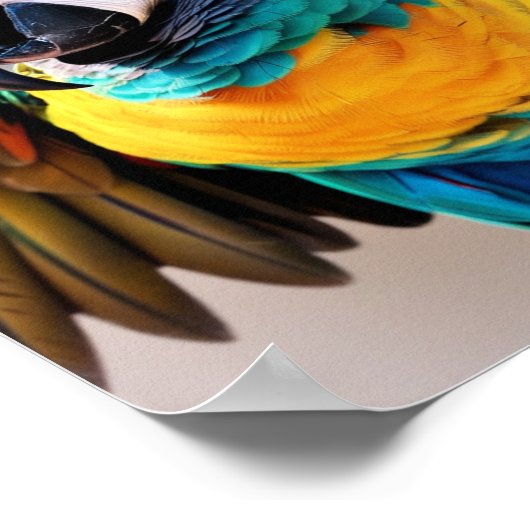 オウム ポスター (角)