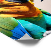 オウム ポスター (角)