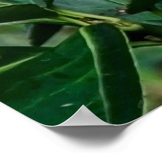 オウム ポスター (角)