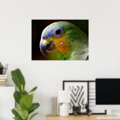 オウム ポスター (ホームオフィス)