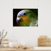 オウム ポスター (キッチン)