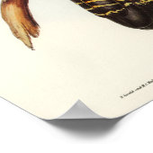 オウム ポスター (角)