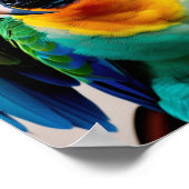 オウム ポスター (角)