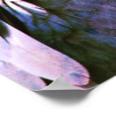 オウム ポスター (角)