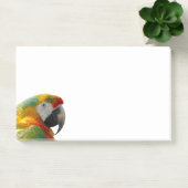 オウム ポストイット (オフィス)