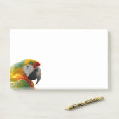 オウム ポストイット (デスク)