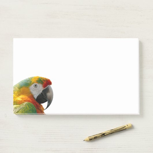 オウム ポストイット (デスク)