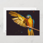 オウム ポストカード (正面/裏面)