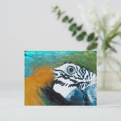 オウム ポストカード (スタンド正面)