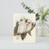 オウム ポストカード (スタンド正面)