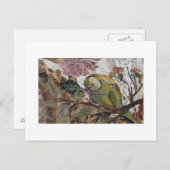 オウム ポストカード (正面/裏面)