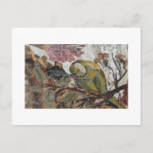 オウム ポストカード (正面)