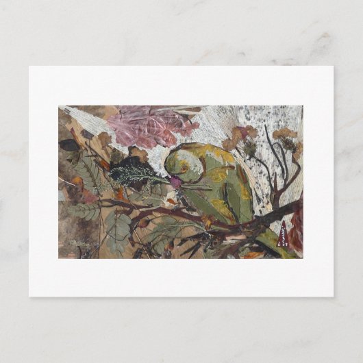 オウム ポストカード (正面)