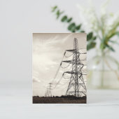 オウム ポストカード (スタンド正面)