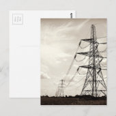 オウム ポストカード (正面/裏面)