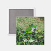 オウム マグネット (正面/裏面)