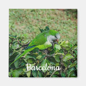 オウム マグネット (正面)