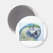 オウム マグネット (正面/裏面)