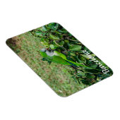 オウム マグネット (右側)