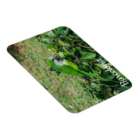 オウム マグネット (右側)