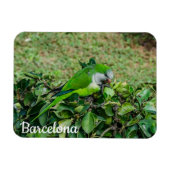 オウム マグネット (横)