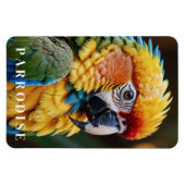 オウム マグネット (横)