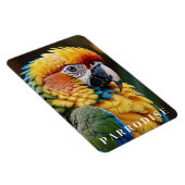 オウム マグネット (右側)