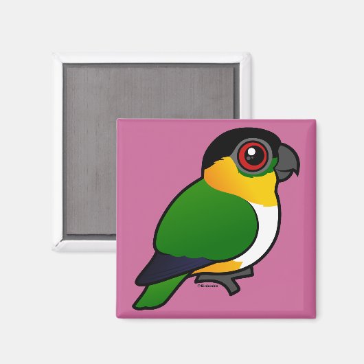 オウム マグネット (正面/裏面)