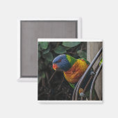 オウム マグネット (正面/裏面)