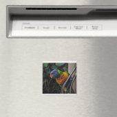 オウム マグネット (インサイチュ (食洗機))