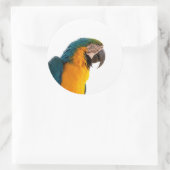 オウム ラウンドシール (バッグ)