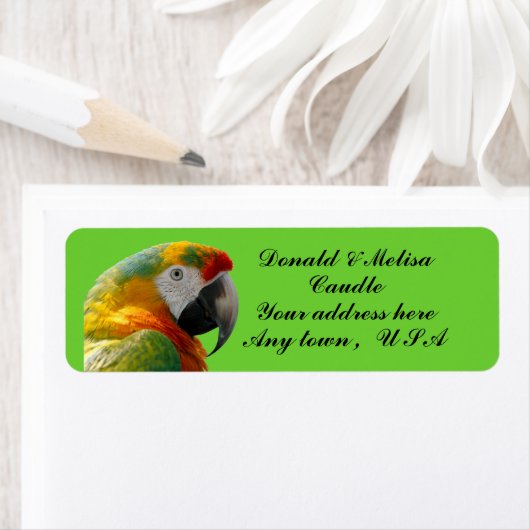 オウム ラベル (インサイチュ)