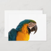 オウム 出欠カード (正面/裏面)