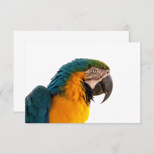 オウム 出欠カード (正面/裏面)