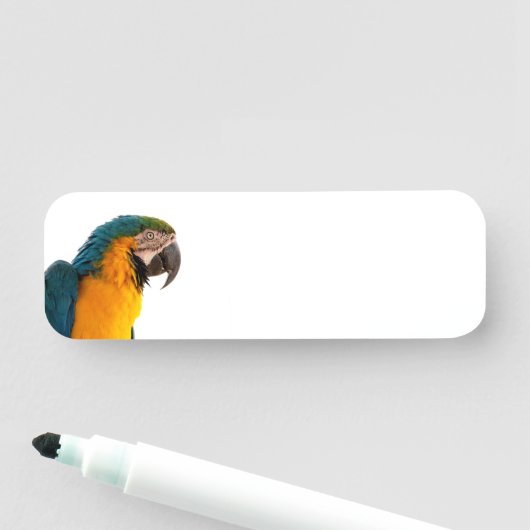 オウム 名札 (インサイチュ)