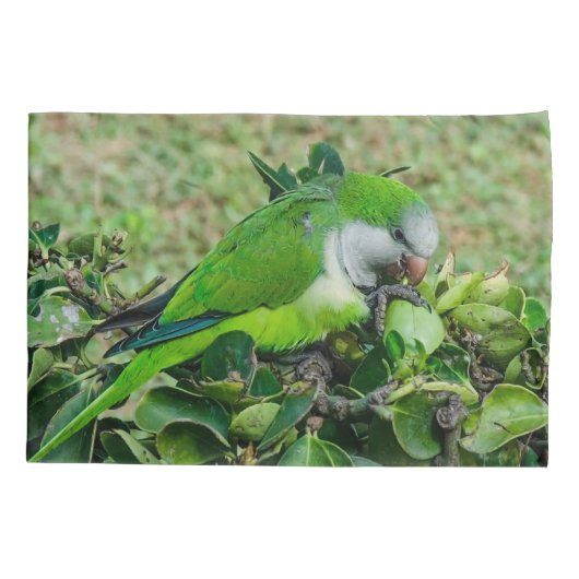 オウム 枕カバー (裏面)