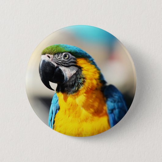 オウム 缶バッジ (正面)