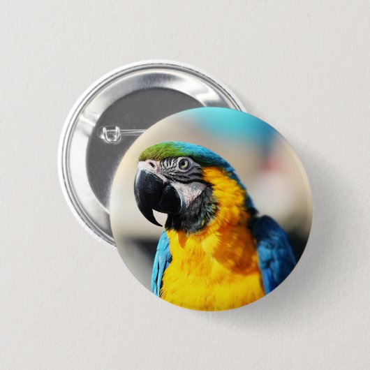 オウム 缶バッジ (正面&裏面)