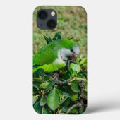 オウム Case-Mate iPhoneケース (裏面)
