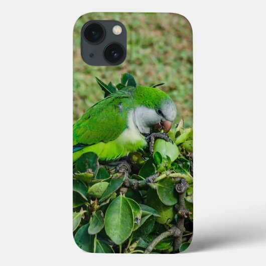 オウム Case-Mate iPhoneケース (裏面)