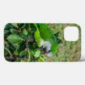 オウム Case-Mate iPhoneケース (裏面 (横))